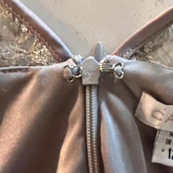 CACHE Champaign Metallic Threaded Lace Empire Waist Evening Cocktail Dress Sz 12 - Picture 10 of 15